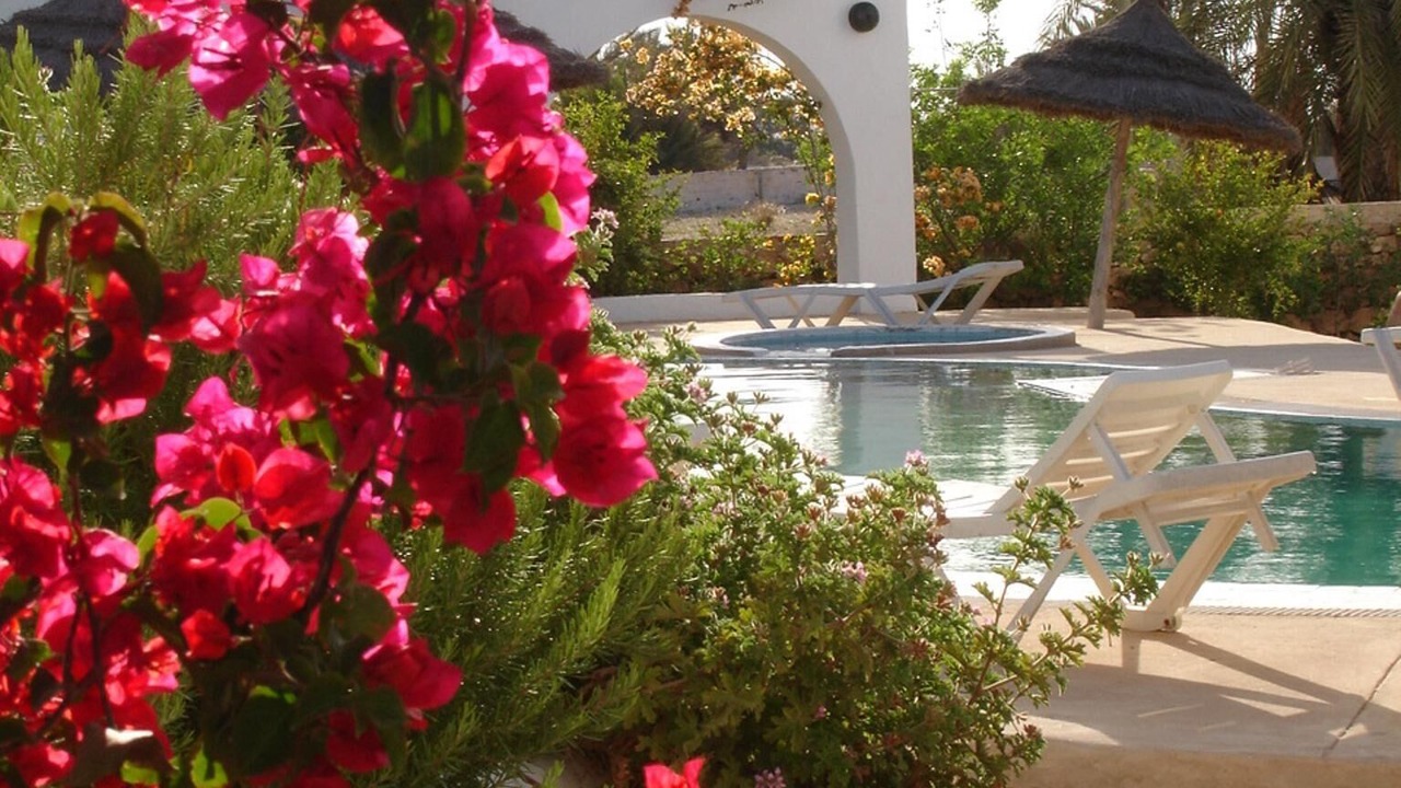 Photo of Outdoor in Playa Sidi Mehrez
