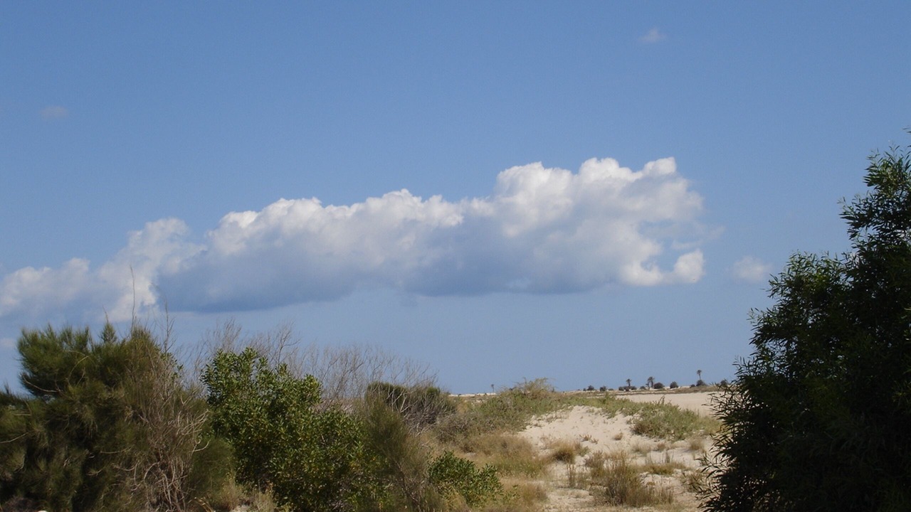 Photo of Outdoor in Playa Sidi Mehrez