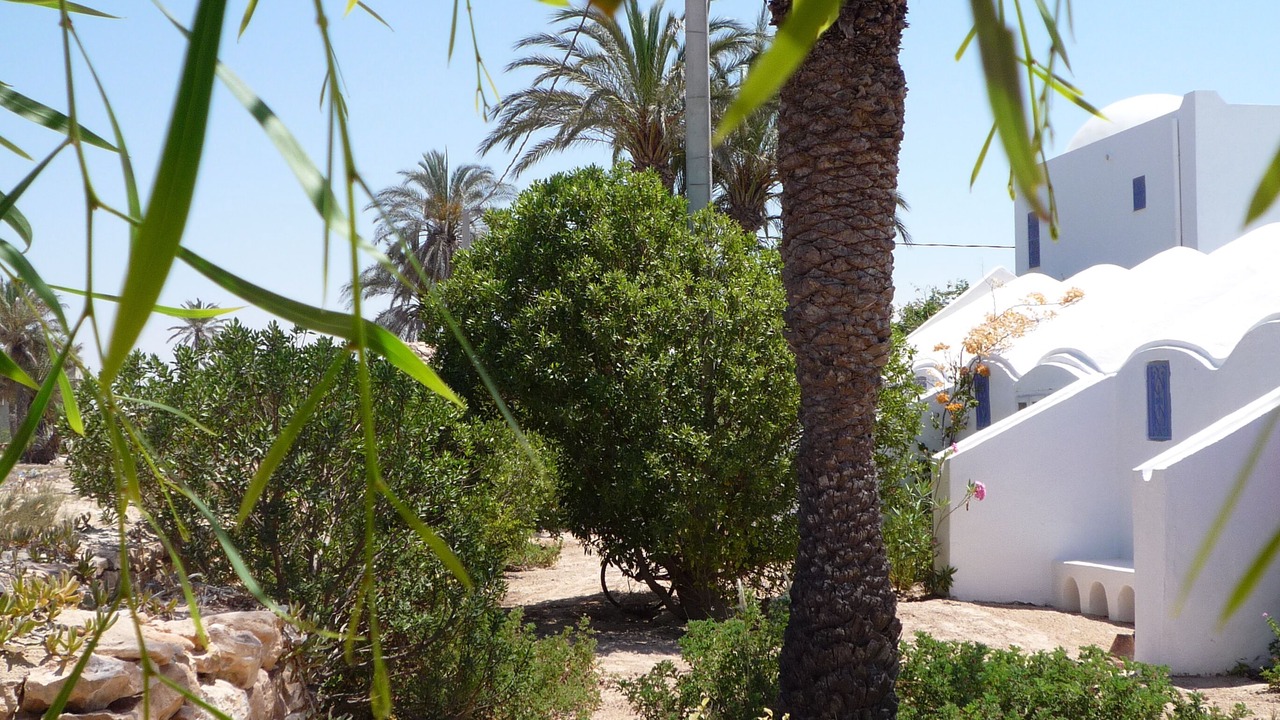 Photo of Outdoor in Playa Sidi Mehrez
