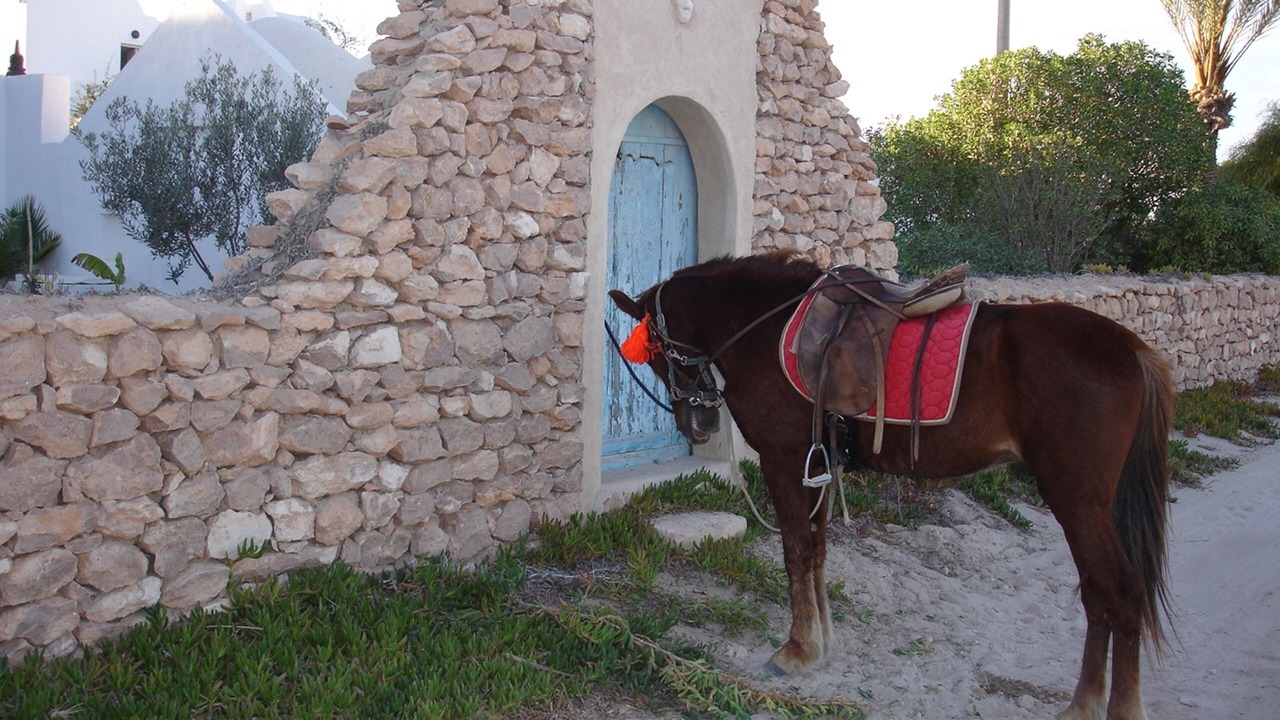 Photo of Outdoor in Playa Sidi Mehrez
