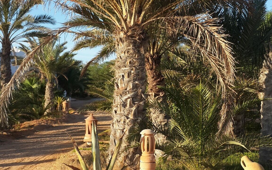 Photo of Outdoor in Djerba Ajim