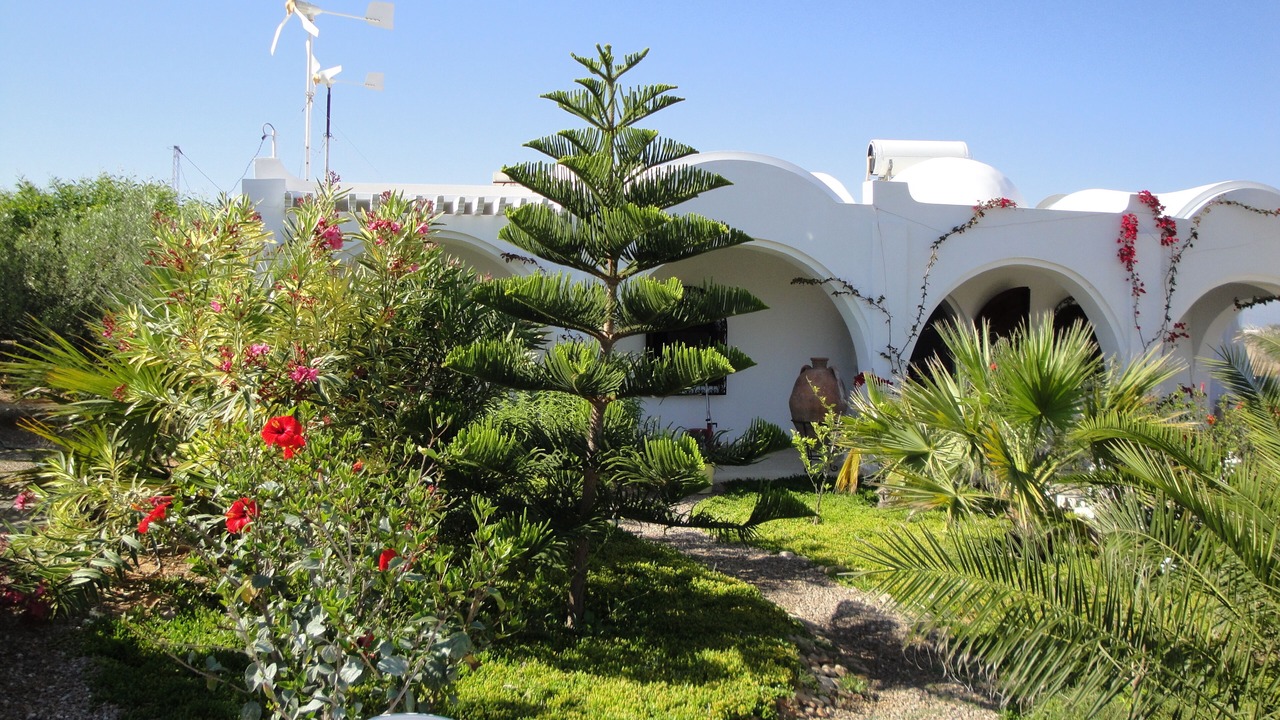 Photo of Outdoor in Djerba Ajim