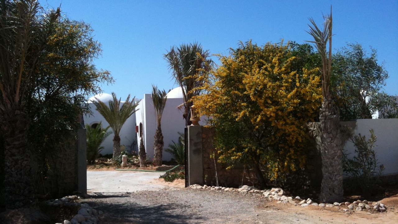 Photo of Outdoor in Djerba Ajim