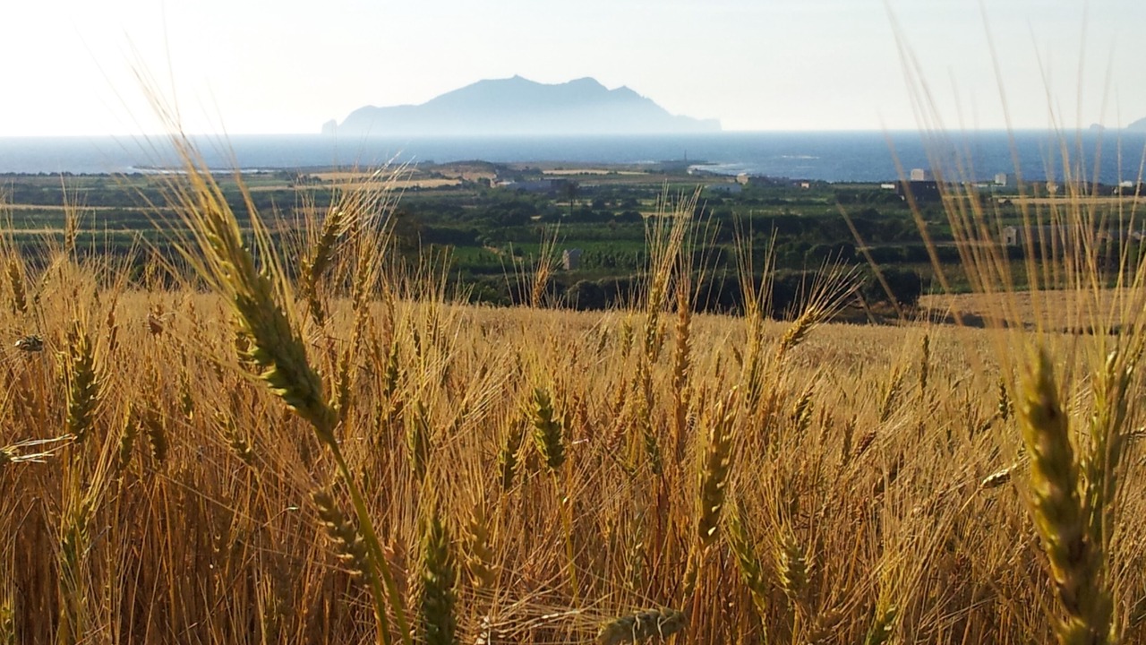Photo of Outdoor in Eastern Hawaria