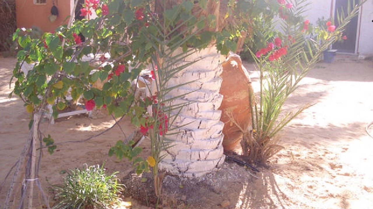 Photo of Outdoor in Douz