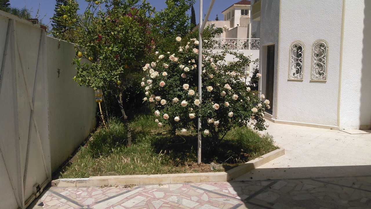 Photo of Outdoor in Hammam Sousse