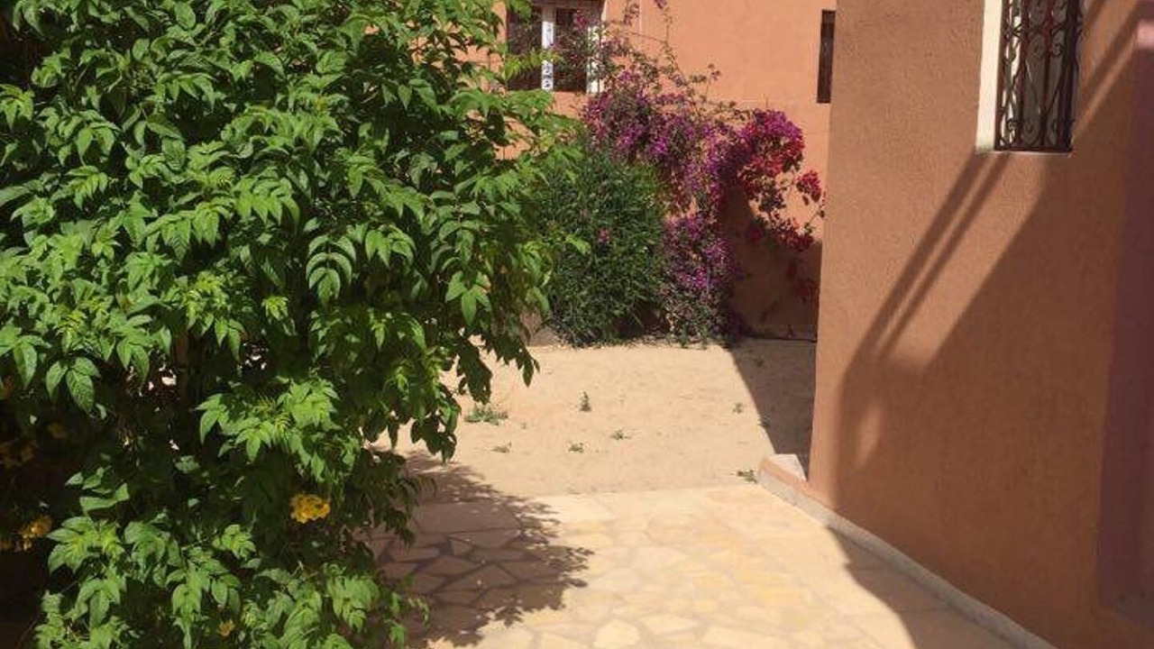 Photo of Outdoor in Triffa