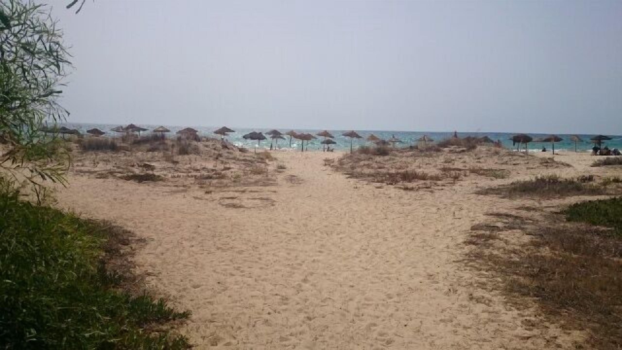 Photo of Others in Mrezga