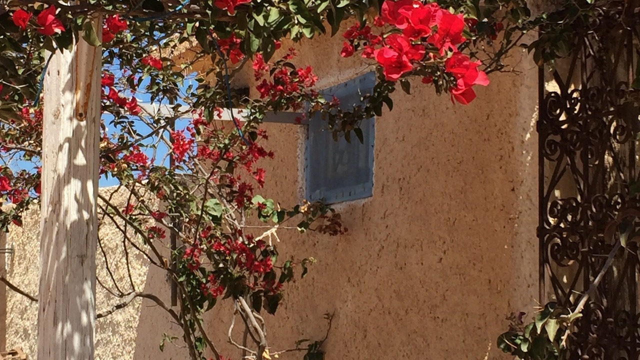 Photo of Outdoor in Midoun