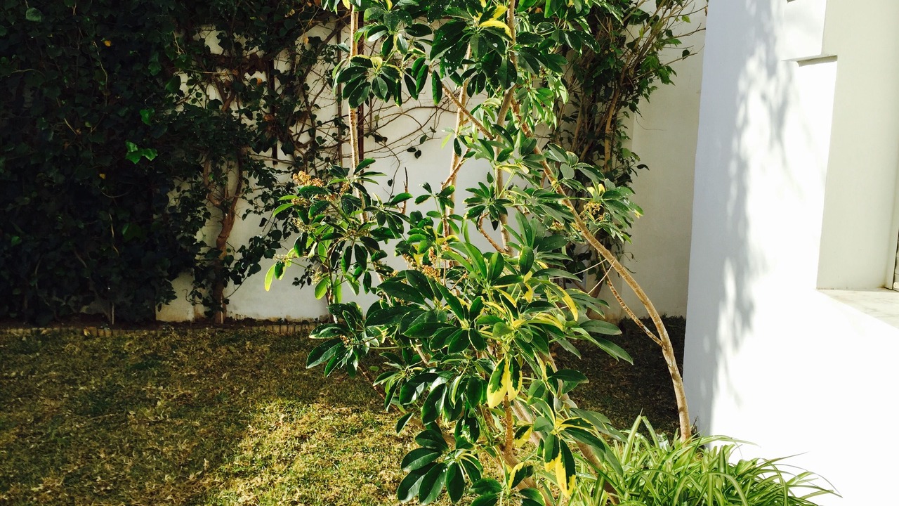 Photo of Outdoor in Carthage