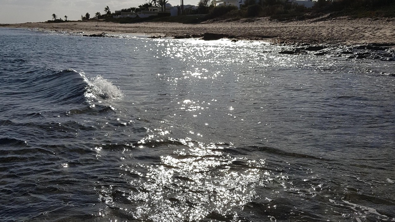 Photo of Others in El Maamoura