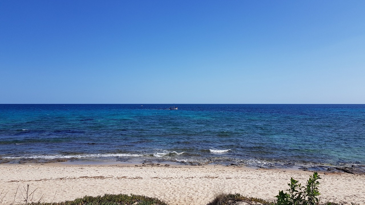 Photo of Others in El Maamoura