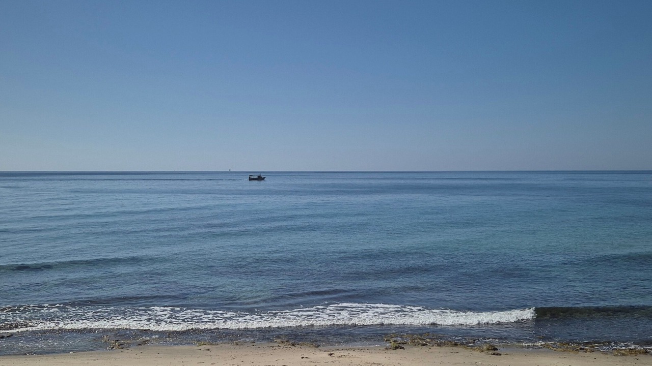 Photo of Others in El Maamoura