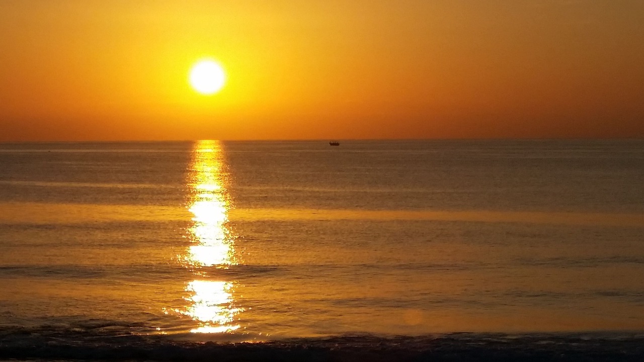 Photo of Others in El Maamoura