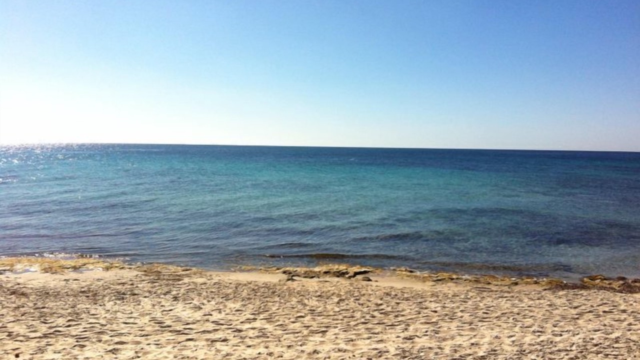 Photo of Others in El Maamoura