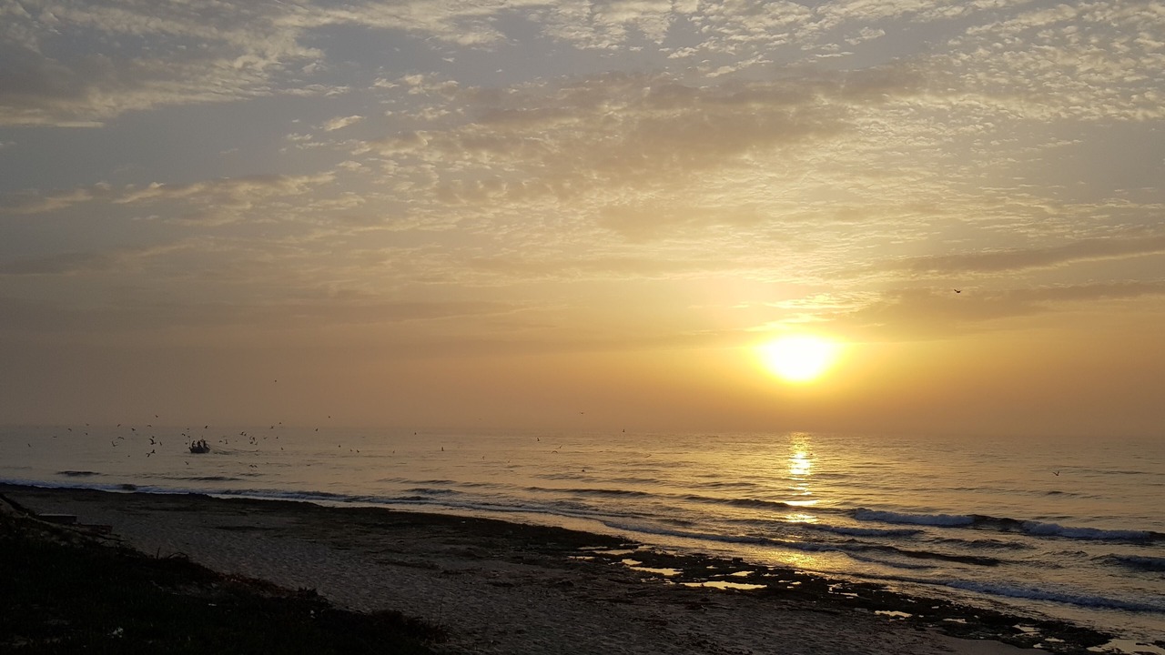 Photo of Others in El Maamoura