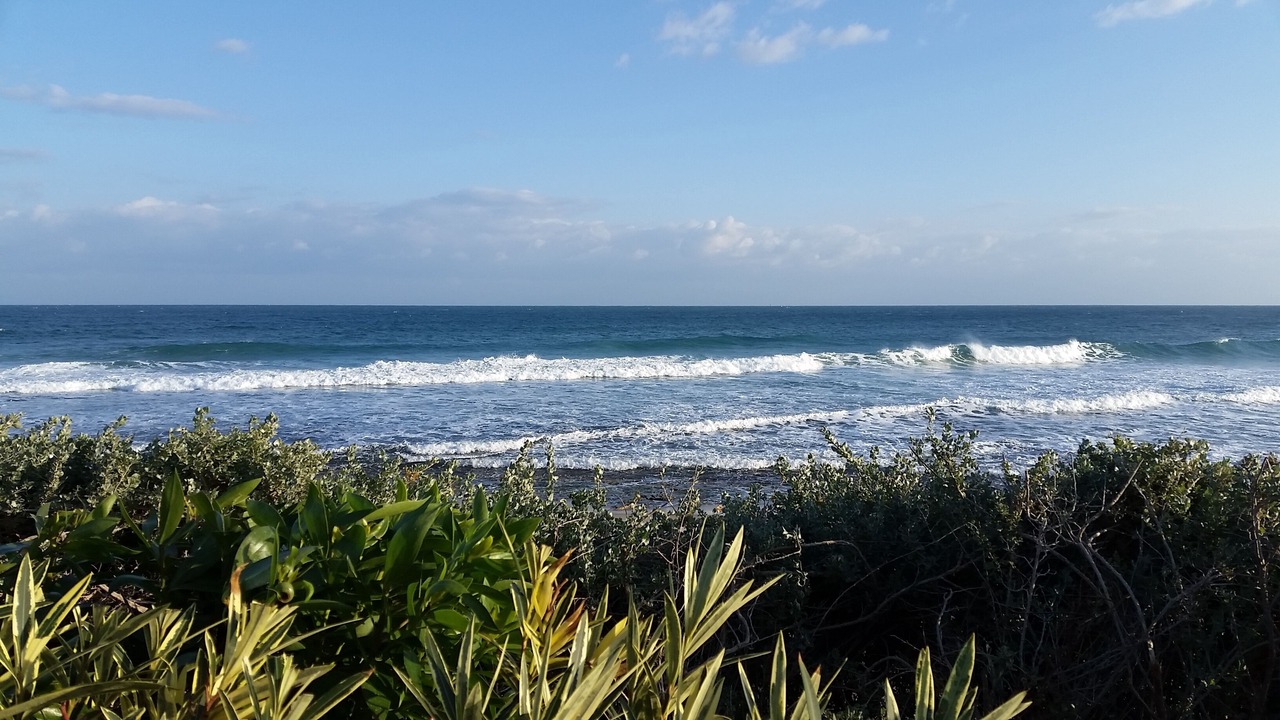 Photo of Others in El Maamoura