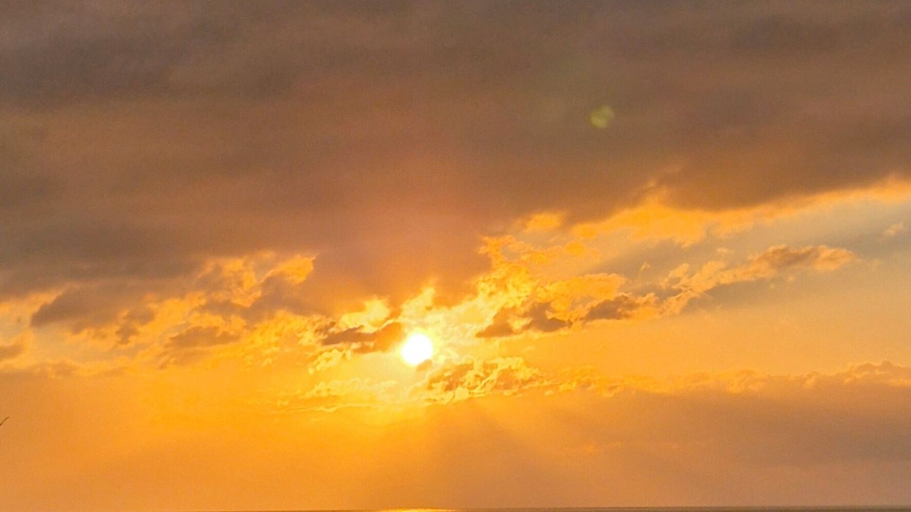 Photo of Others in El Maamoura