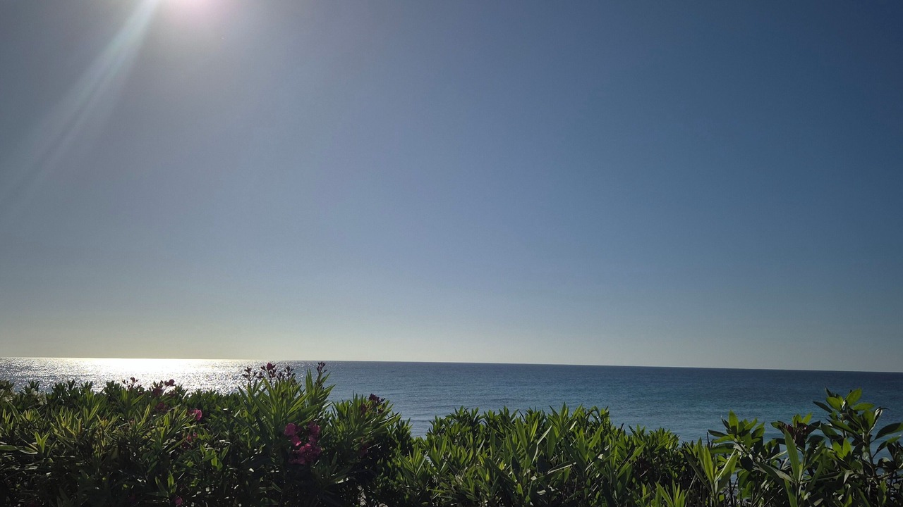 Photo of Others in El Maamoura