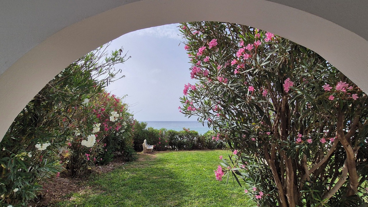 Photo of Outdoor in El Maamoura