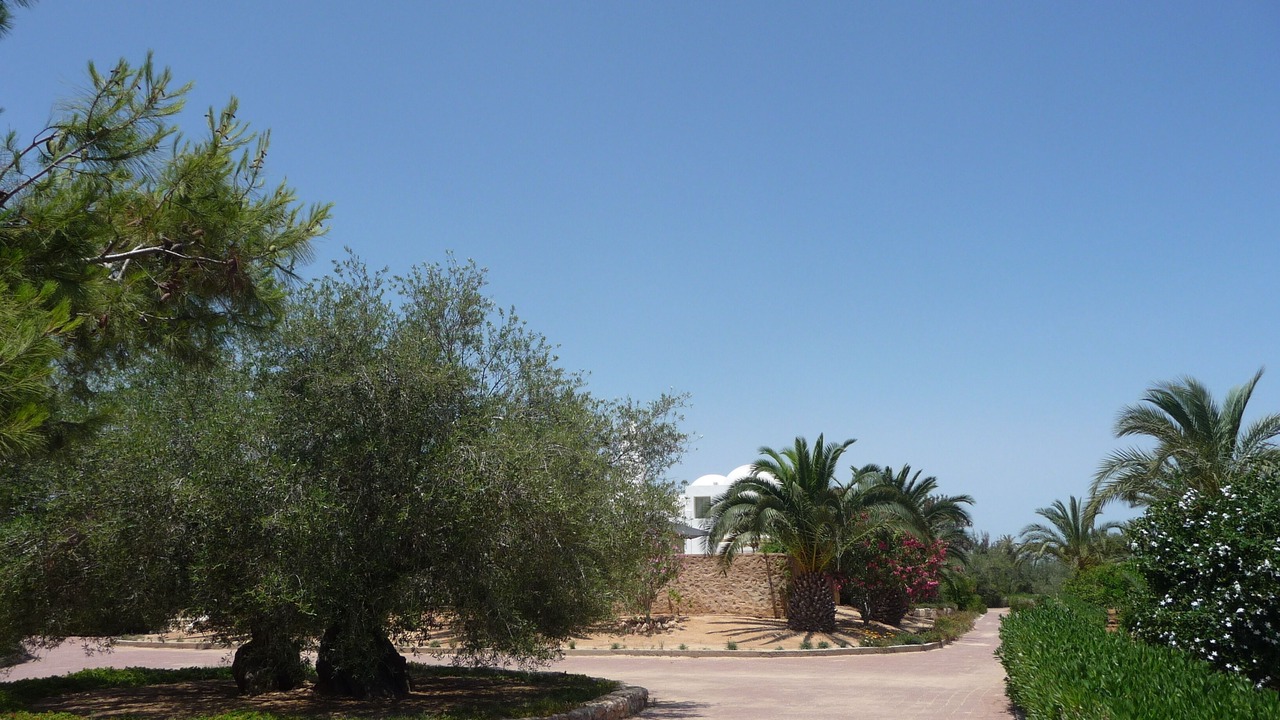 Photo of Outdoor in Sedouikech
