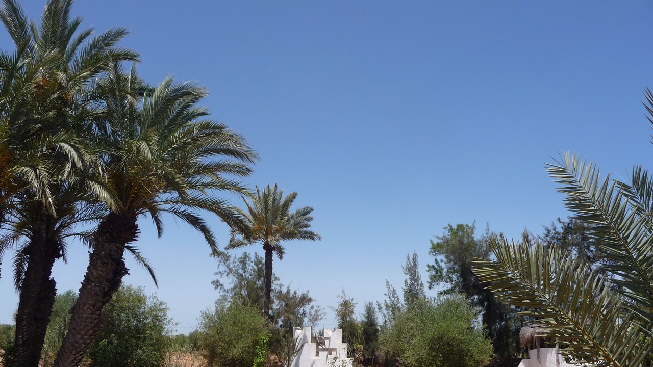 Photo of Outdoor in Sedouikech