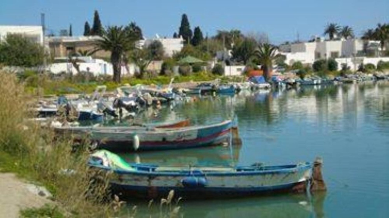 Photo of Others in Amilcar
