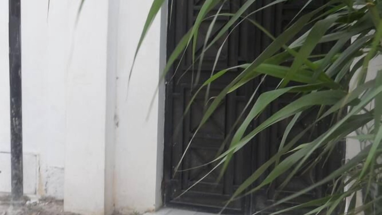 Photo of Others in Amilcar