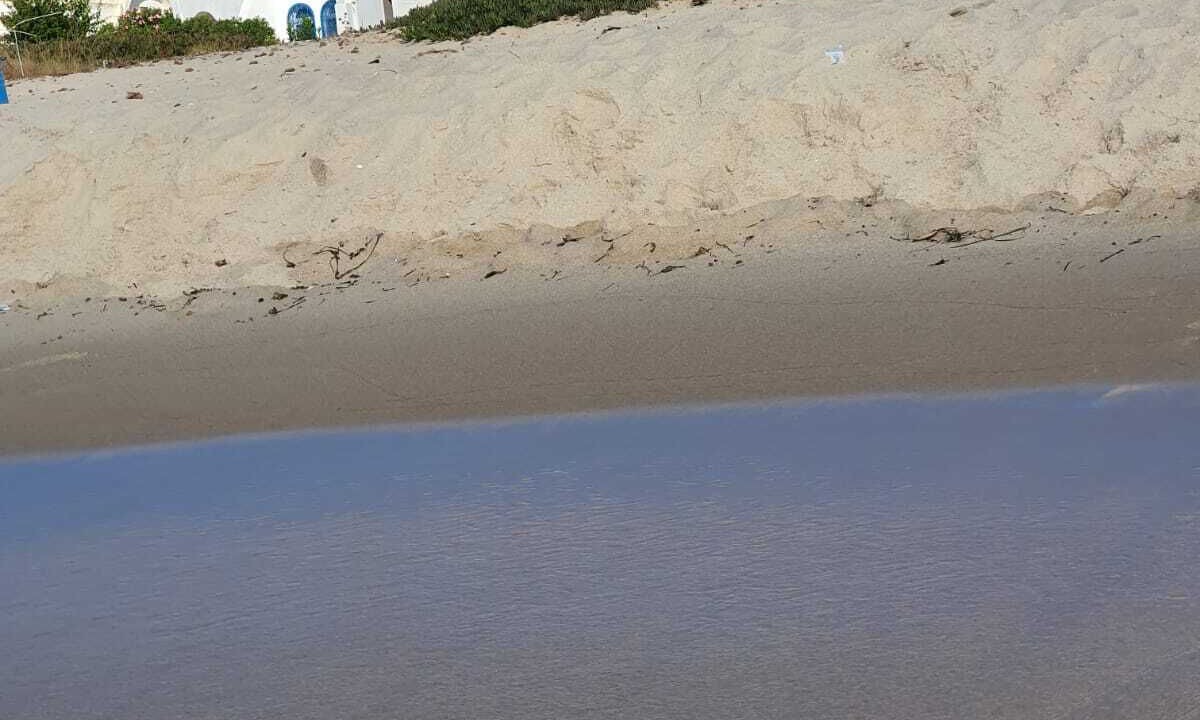Photo of Others in El Maamoura