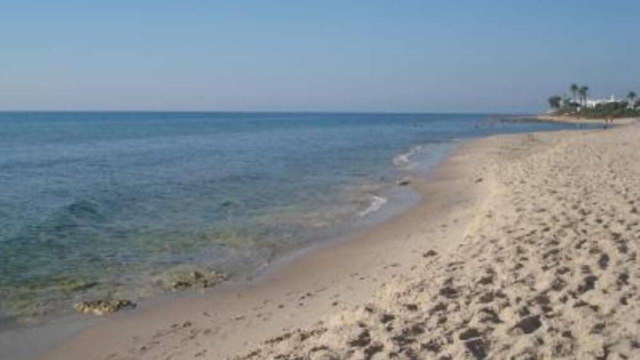Photo of Others in El Maamoura