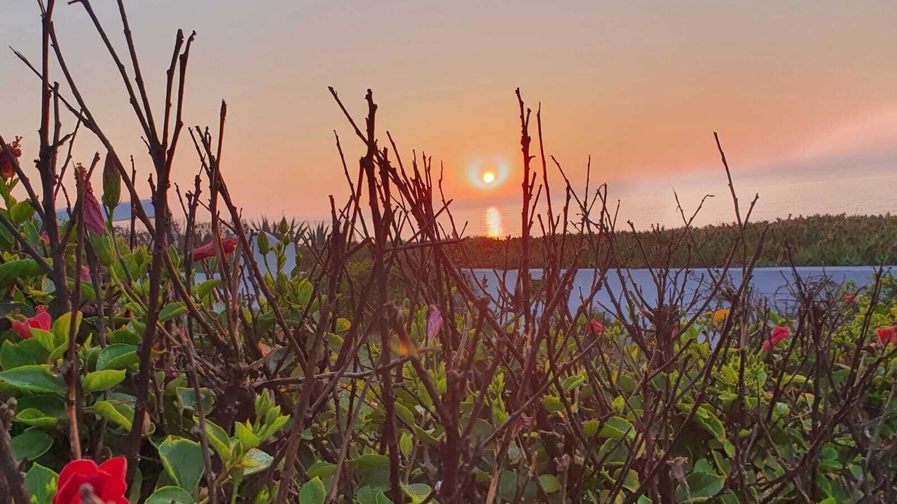 Photo of Outdoor in El Maamoura
