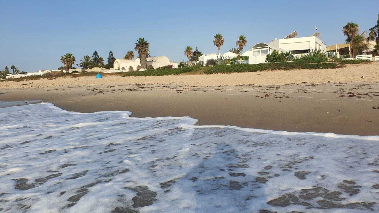 Photo of Others in El Maamoura