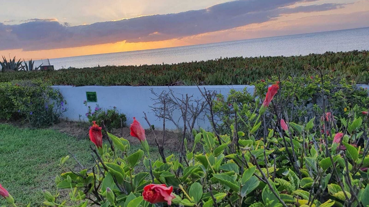 Photo of Outdoor in El Maamoura