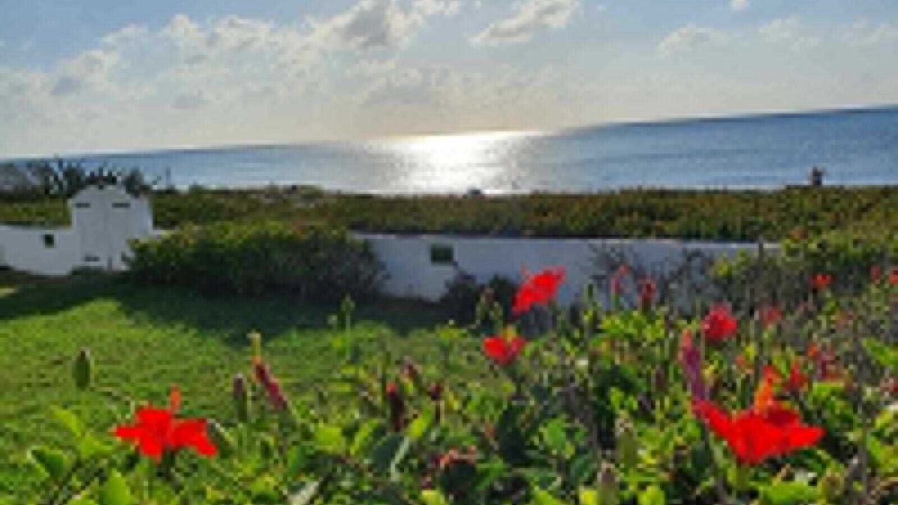 Photo of Outdoor in El Maamoura