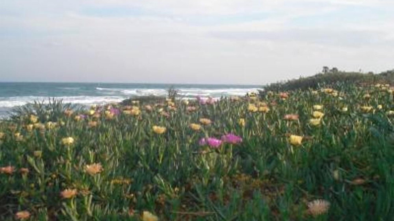 Photo of Outdoor in El Maamoura