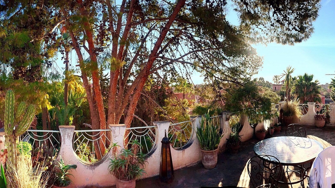 Photo of Outdoor in Semlalia