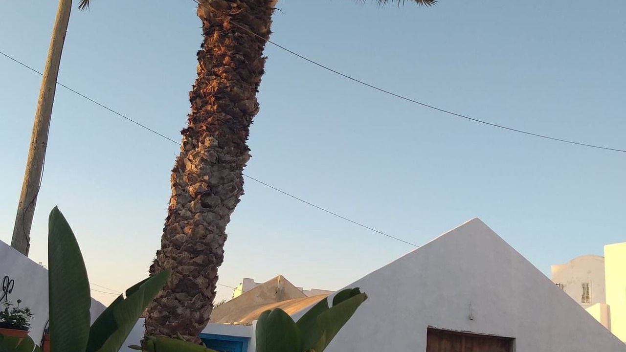 Photo of Outdoor in Houmt Souk