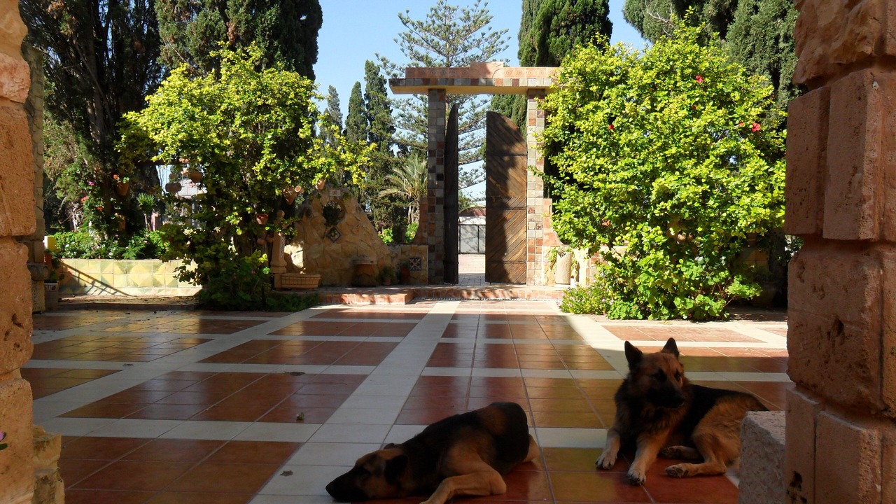 Photo of Outdoor in Tazerka