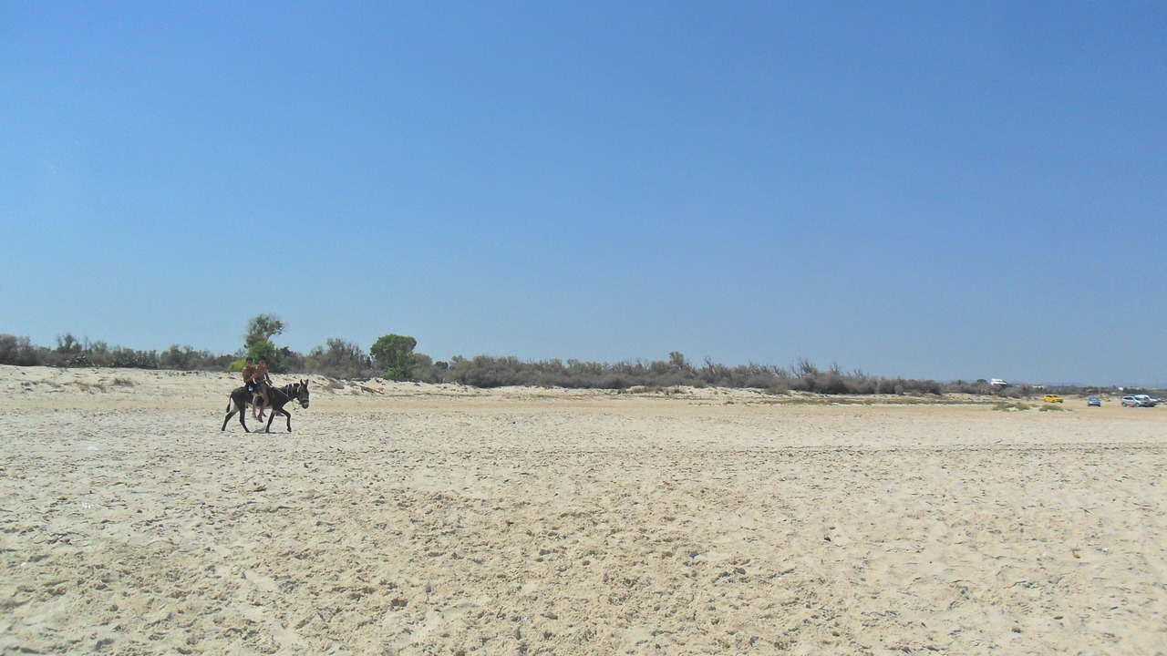 Photo of Others in Tazerka