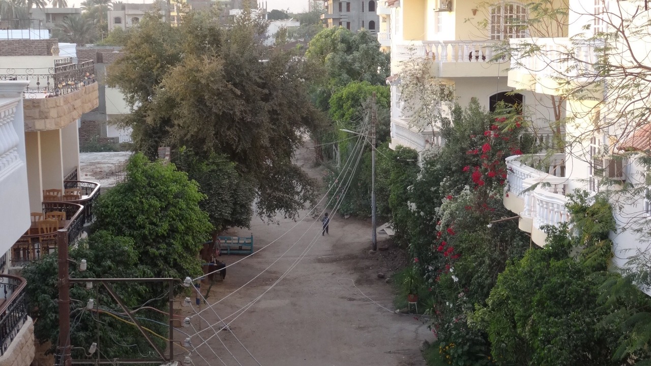 Photo of Outdoor in Luxor