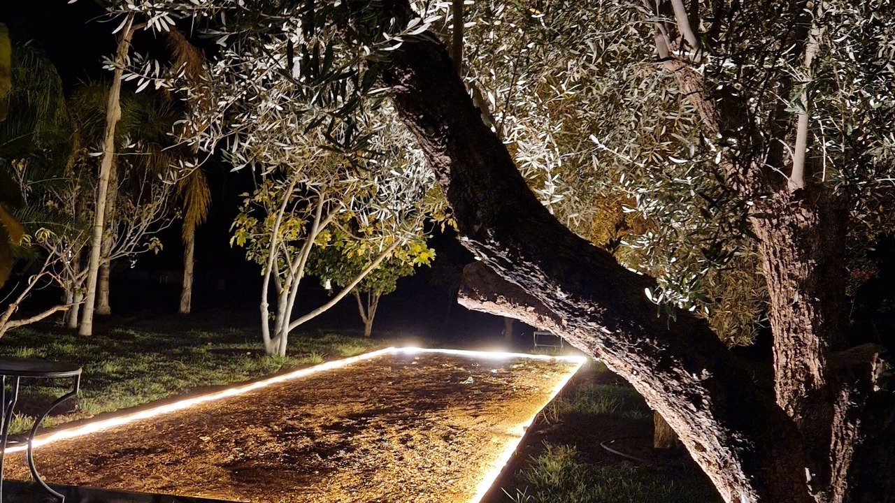 Photo of Outdoor in El Aggada