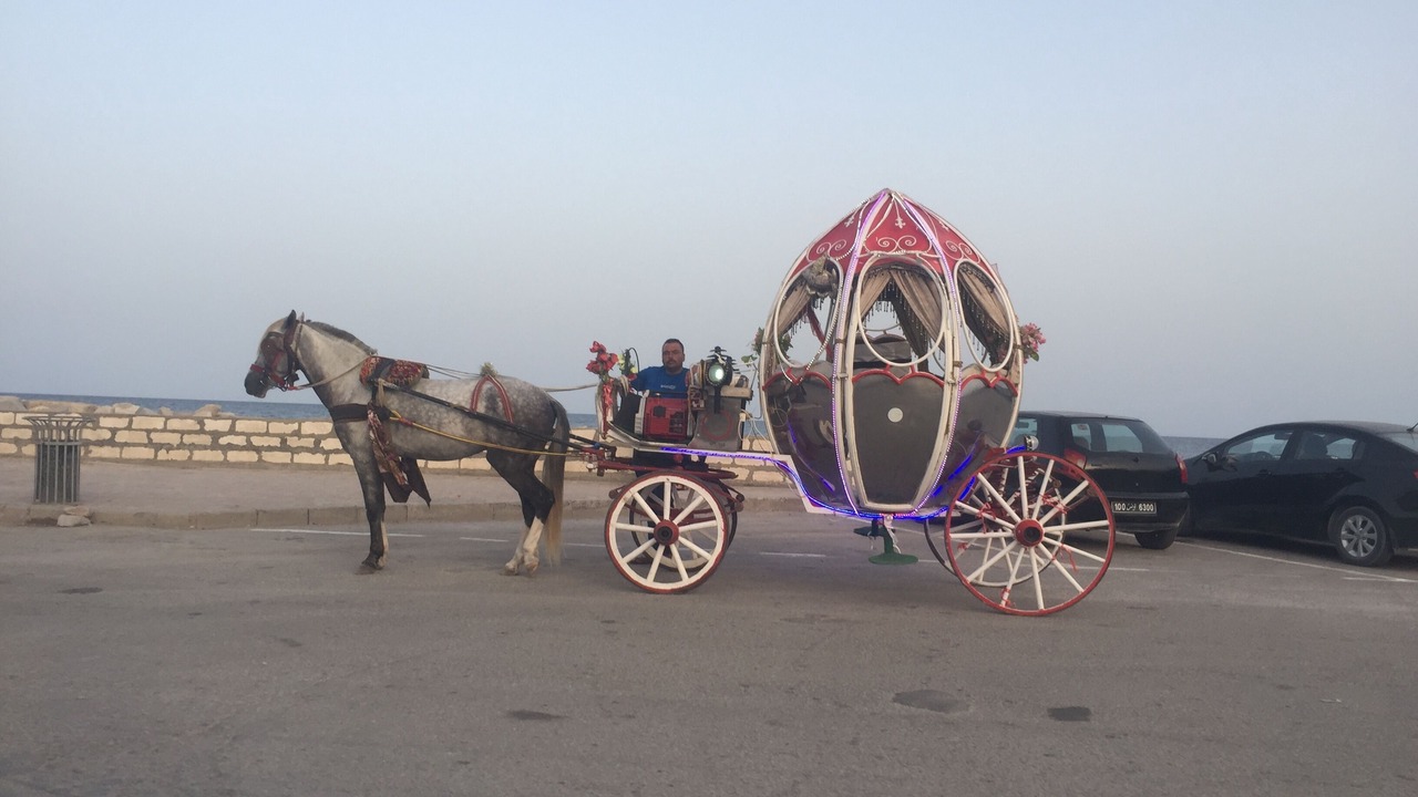 Photo of Others in Borj Erras