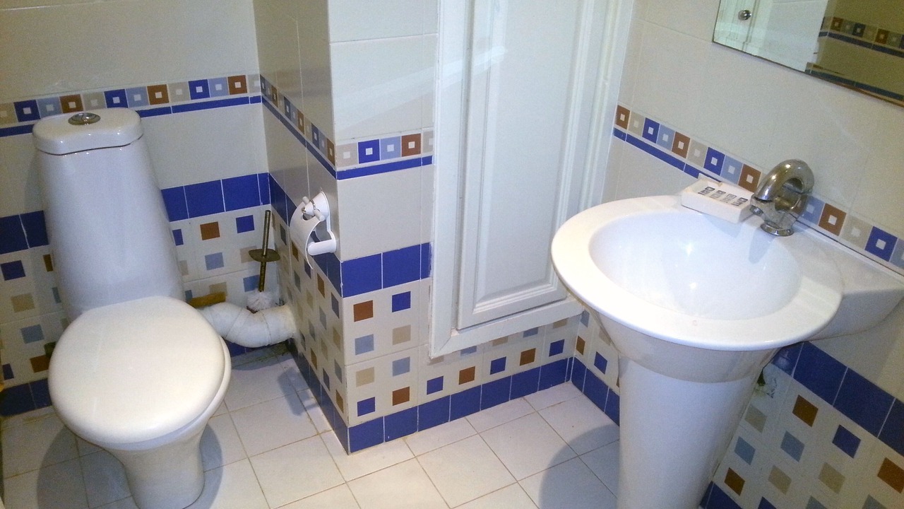 Photo of Bathroom in El Menzah 9
