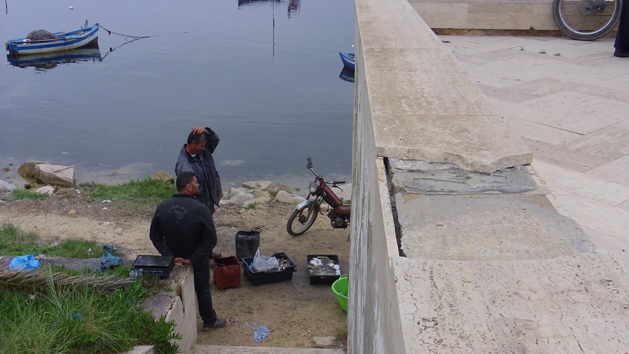 Photo of Others in Monastir