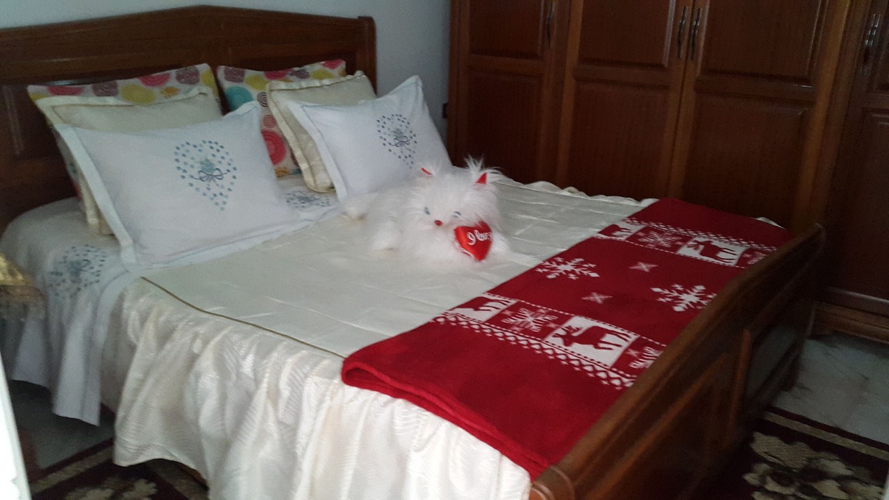 Photo of Bedroom in Bardo