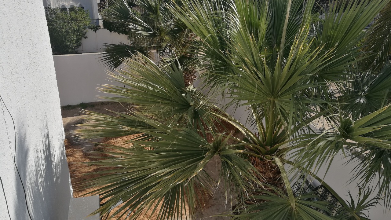 Photo of Outdoor in Triffa
