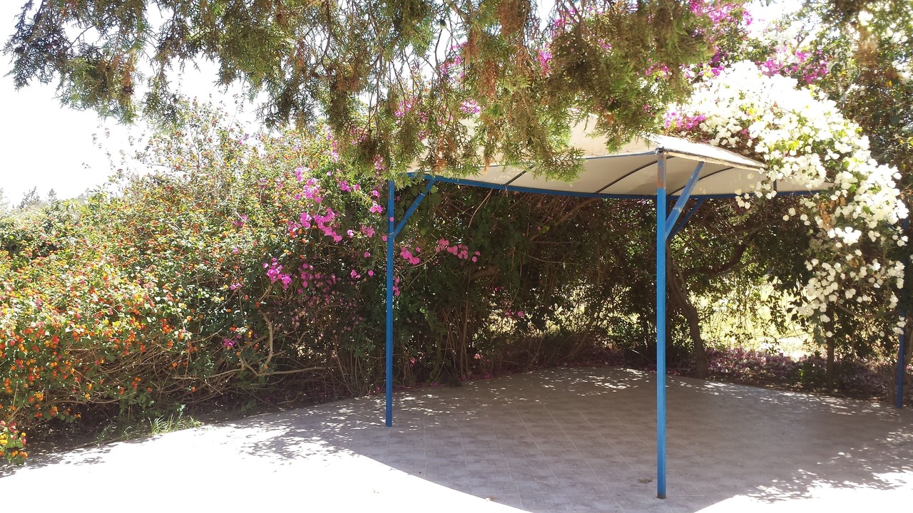 Photo of Outdoor in Chott Mariem