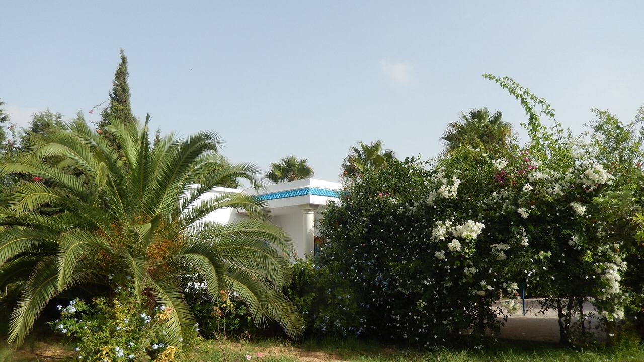 Photo of Outdoor in Chott Mariem