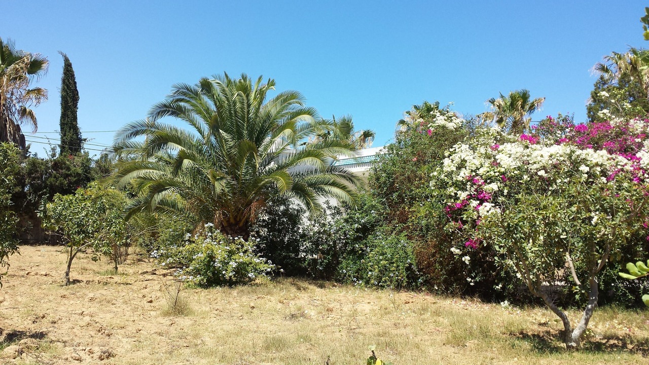 Photo of Outdoor in Chott Mariem