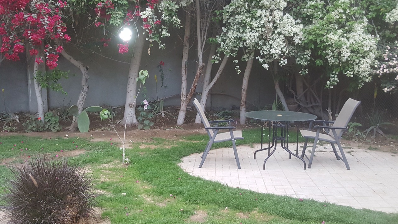 Photo of Outdoor in Giza